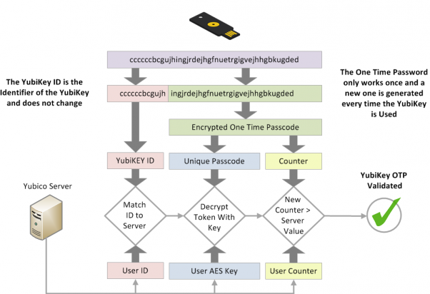 Passwordless Accounts: One-Time Passwords (OTPs) and Passkeys